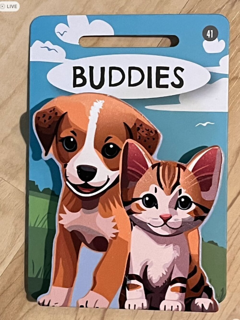 Pet & Critter PUPPY & KITTY "BUDDIES" Wooden Bag Clip, Fridge Magnet NWT